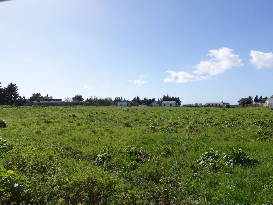 Finca i Chiclana De La Frontera, Cadiz - foto 5