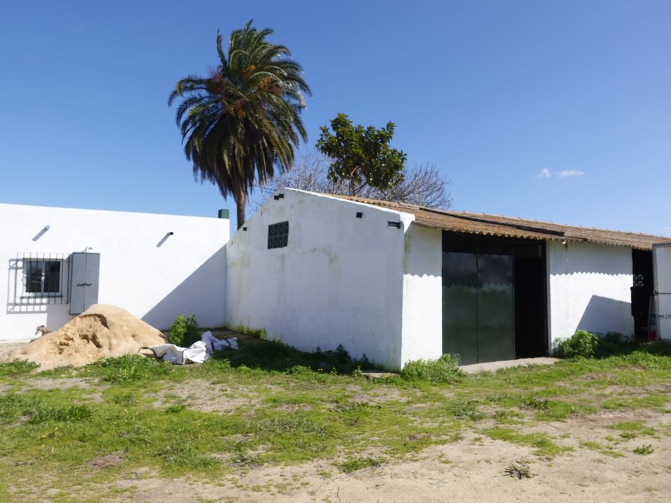 Finca i Chiclana De La Frontera, Cadiz - foto 4