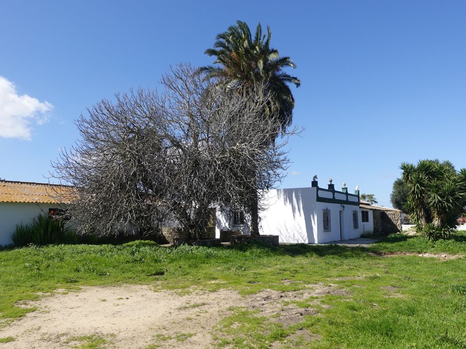Finca i Chiclana De La Frontera, Cadiz - foto 1