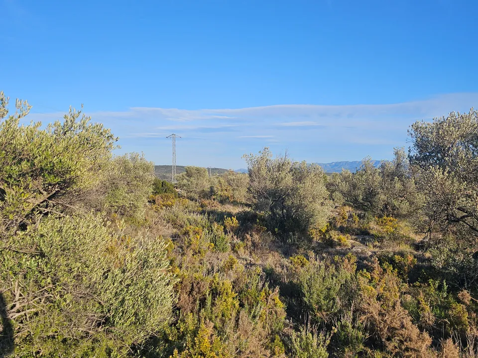 Finca en San Rafael Del Rio, Castellon - foto 4