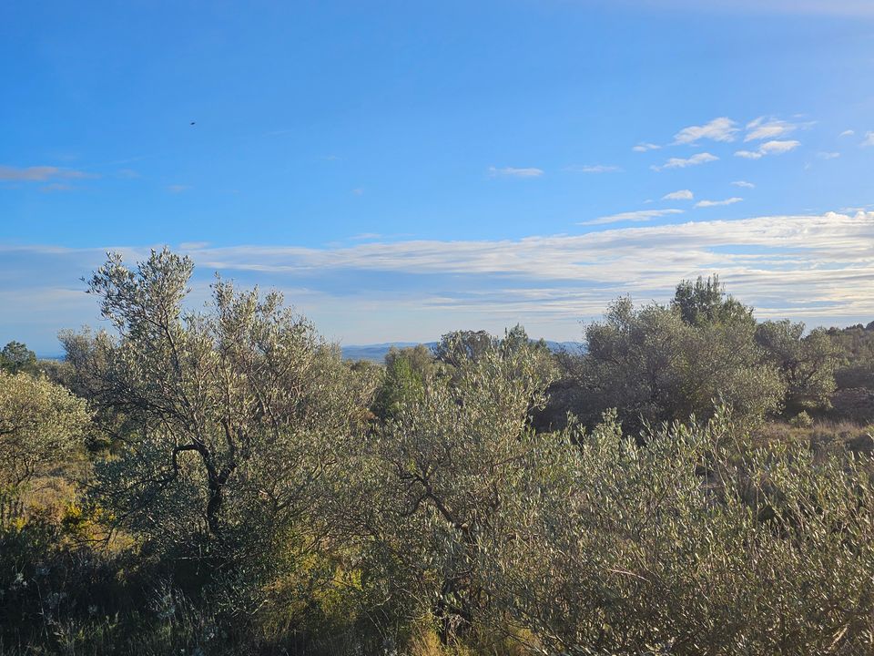 Finca en San Rafael Del Rio, Castellon - foto 5