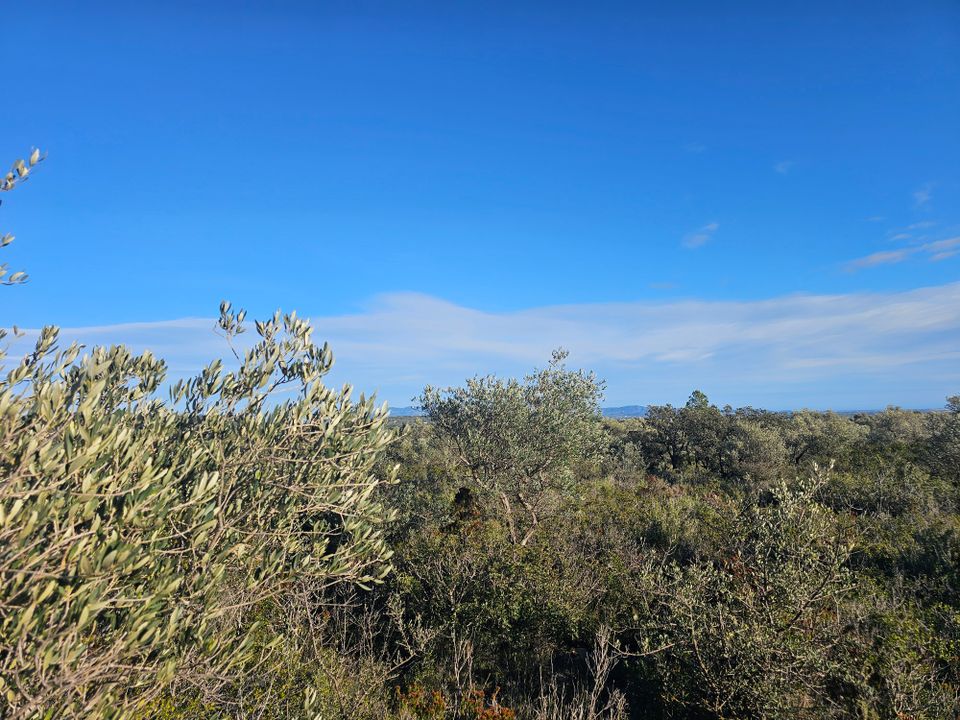 Terreno en Rossell, Castellon - foto 5