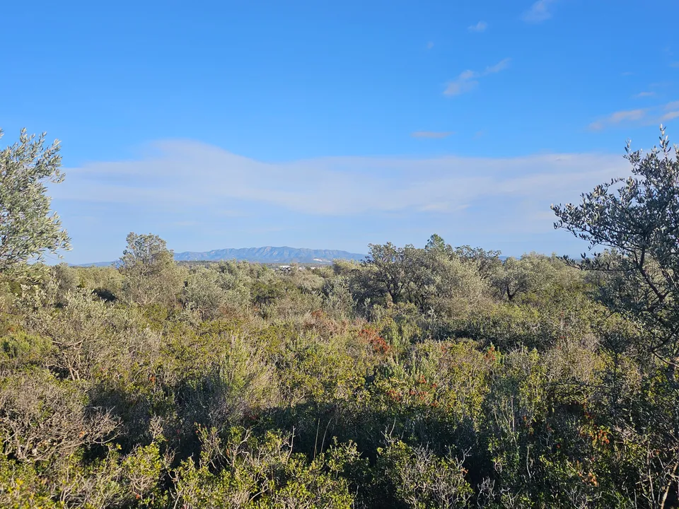 Terreno en Rossell, Castellon - foto 2