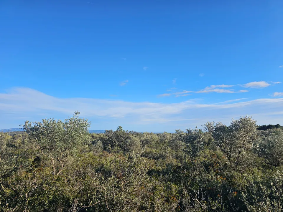 Terreno en Rossell, Castellon - foto 4