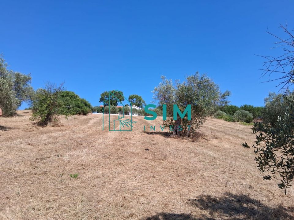 Helårsgrund i Tomar, Santarem - foto 3