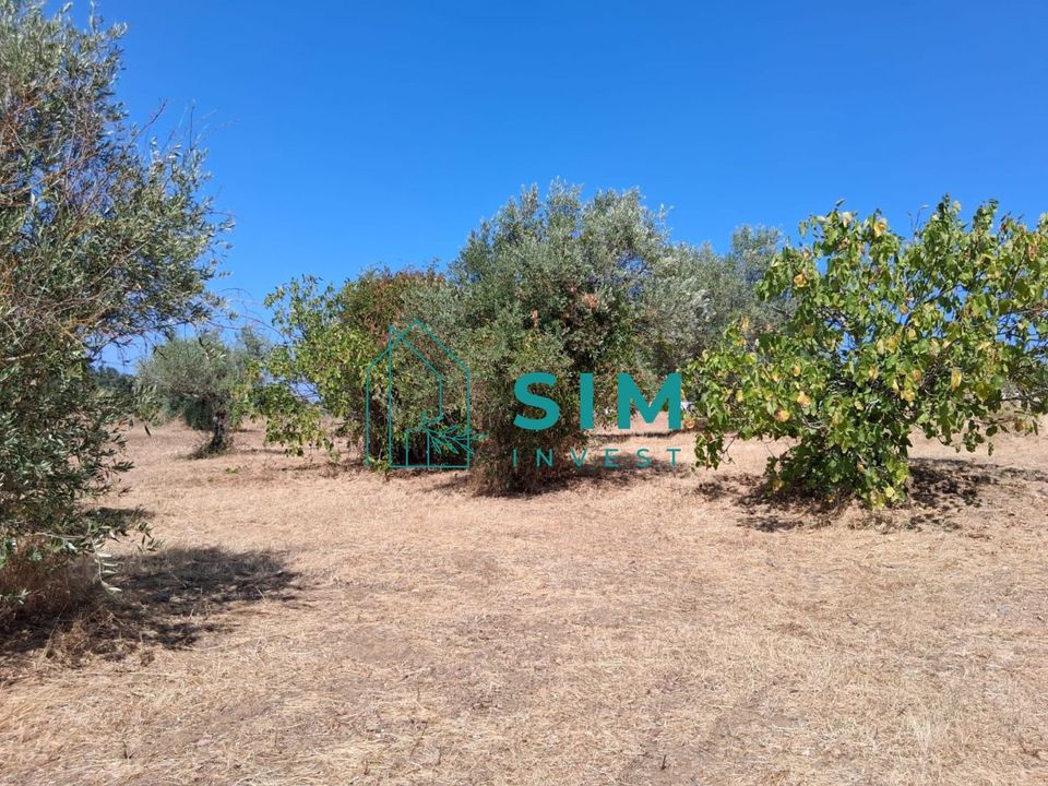 Helårsgrund i Tomar, Santarem - foto 4