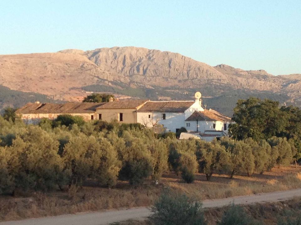 Landejendom i Villanueva Del Trabuco, Malaga - foto 4