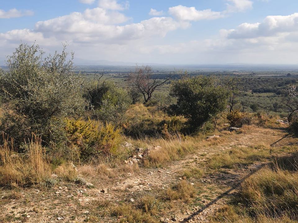 Finca en San Rafael Del Rio, Castellon - foto 2