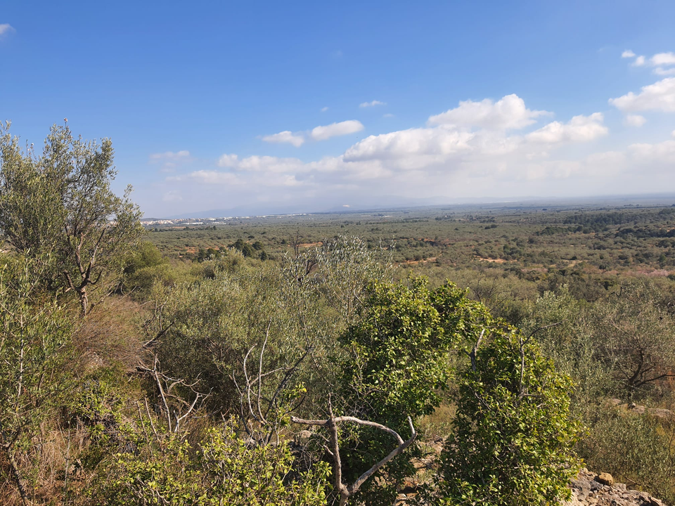Finca en San Rafael Del Rio, Castellon - foto 3