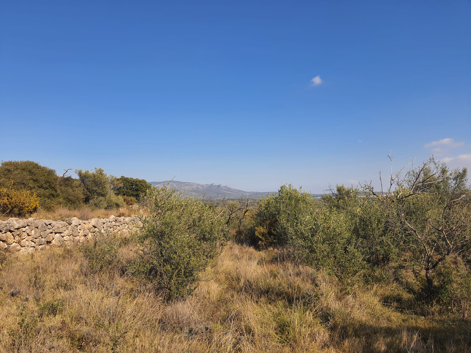 Finca en San Rafael Del Rio, Castellon - foto 1