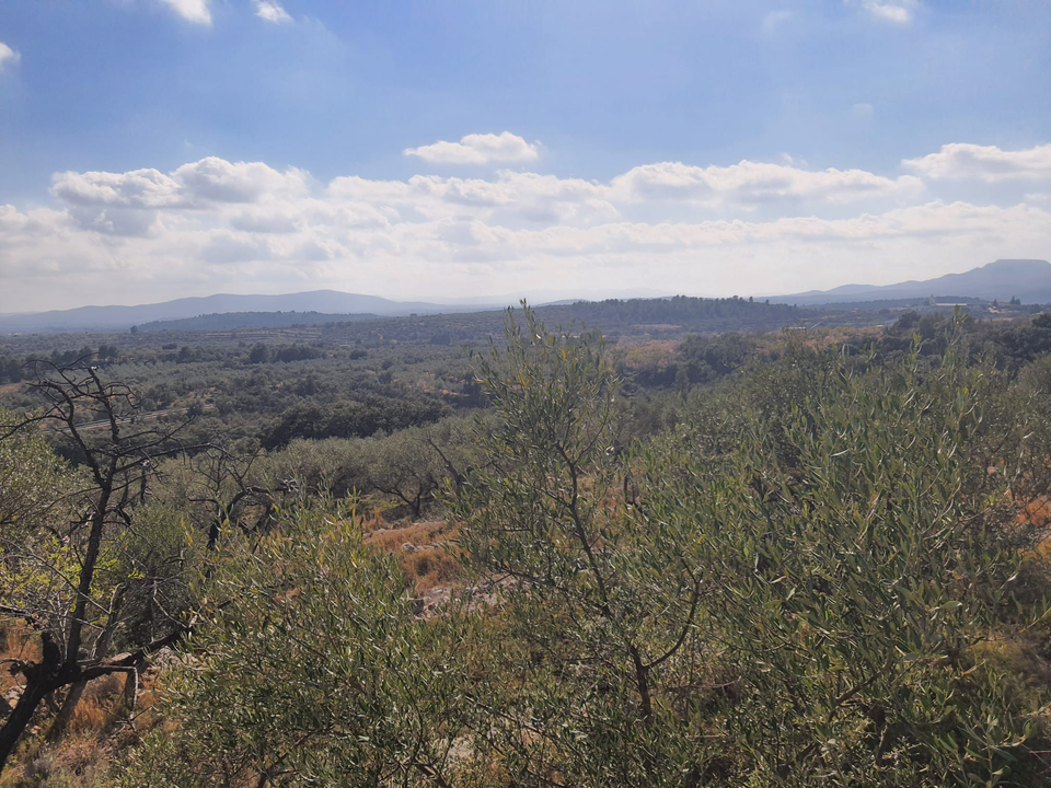 Finca en San Rafael Del Rio, Castellon - foto 4