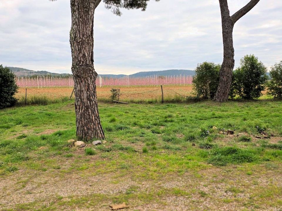 Landejendom i Roccastrada, Grosseto - foto 4