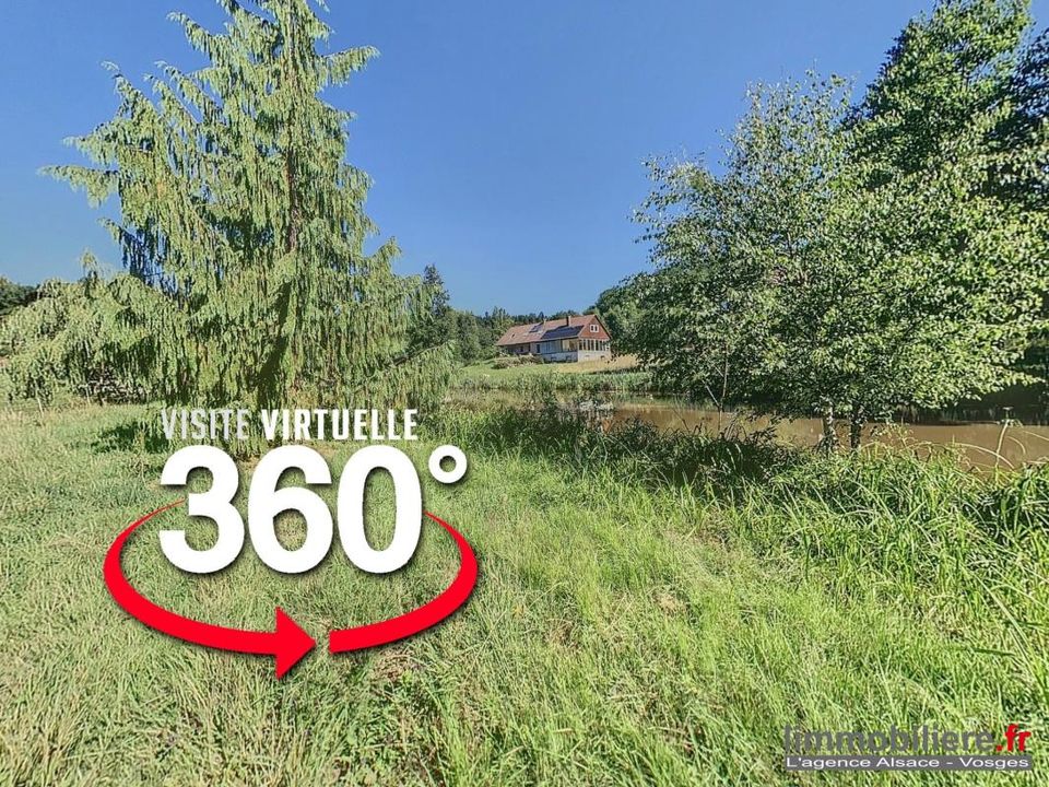 Villa i Nayemont-les-Fosses, Vosges - foto 1