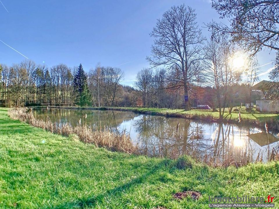 Villa i Nayemont-les-Fosses, Vosges - foto 2