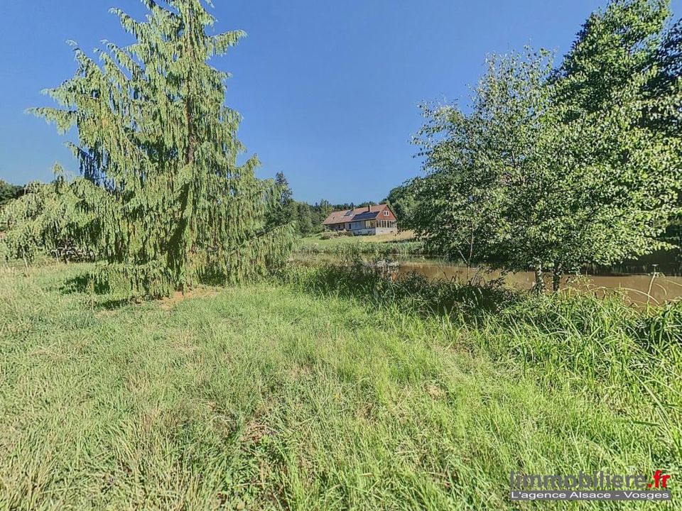 Villa i Nayemont-les-Fosses, Vosges - foto 5