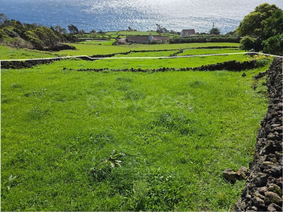 Helårsgrund i Ribeiras, Pico - foto 5
