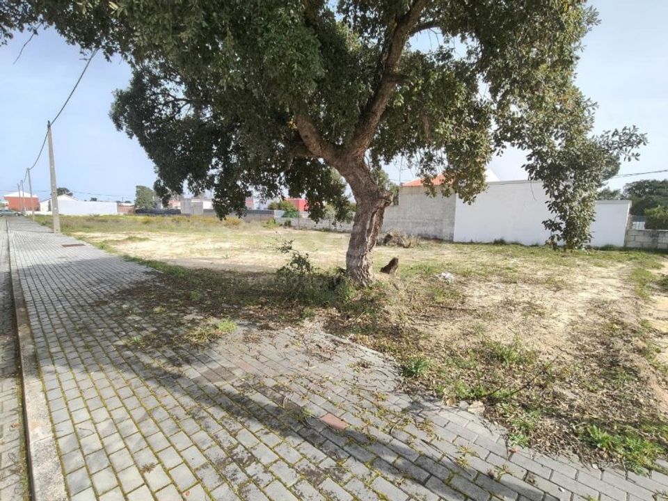 Helårsgrund i Quinta do Anjo, Setubal - foto 2