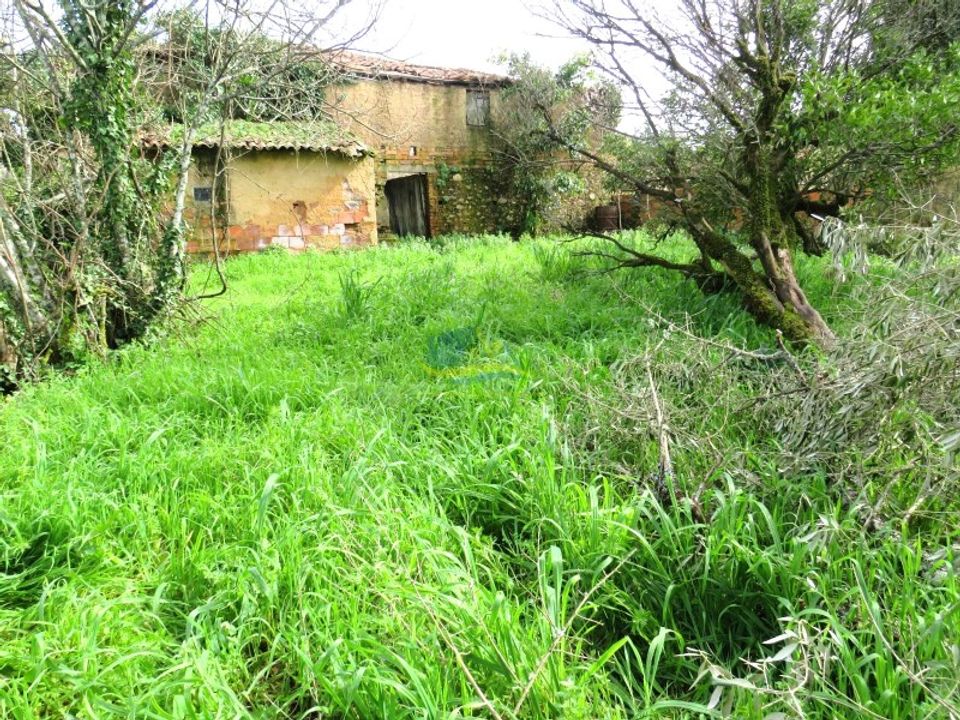 Ruinere i Miranda do Corvo, Coimbra - foto 5