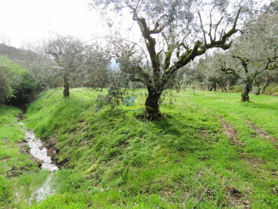 Helårsgrund i Miranda do Corvo, Coimbra - foto 2