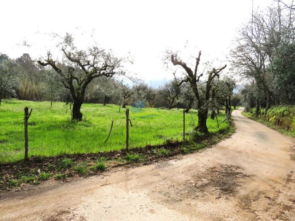 Helårsgrund i Miranda do Corvo, Coimbra - foto 3