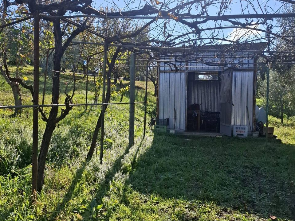 Helårsgrund i Palombara Sabina, Rome - foto 1