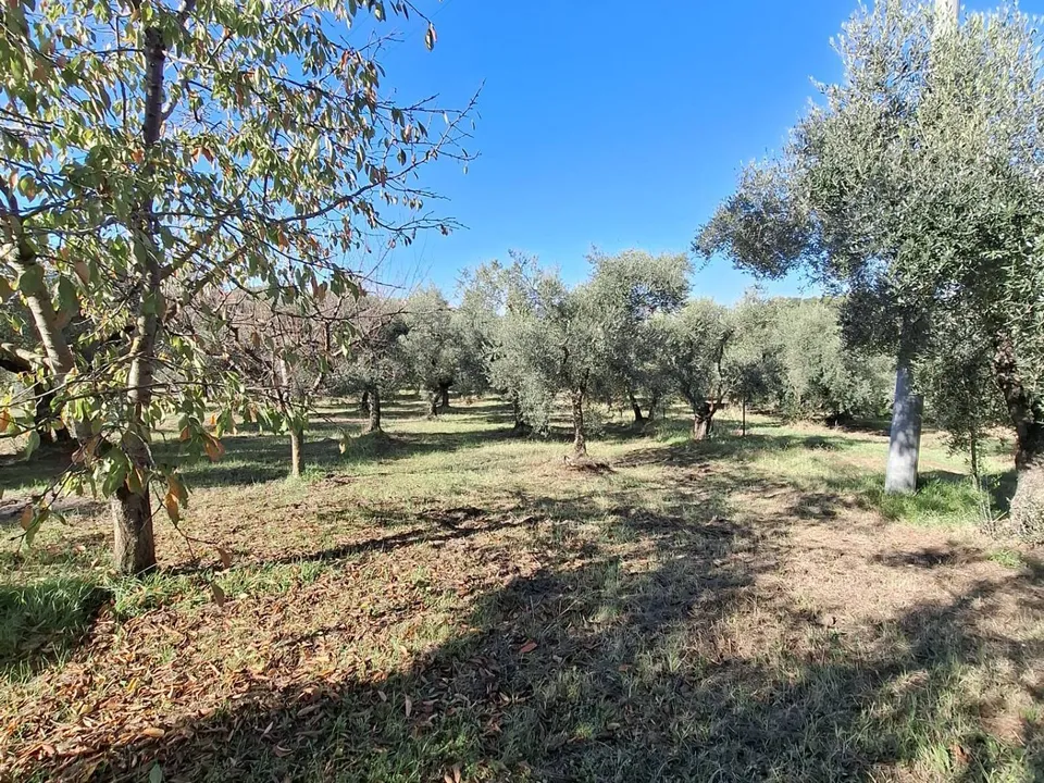 Helårsgrund i Palombara Sabina, Rome - foto 2
