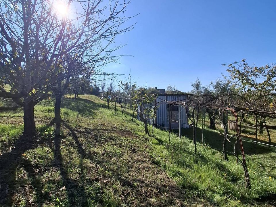 Helårsgrund i Palombara Sabina, Rome - foto 3
