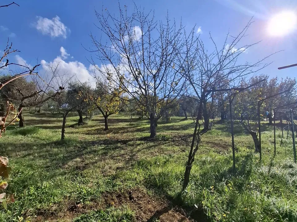 Helårsgrund i Palombara Sabina, Rome - foto 4