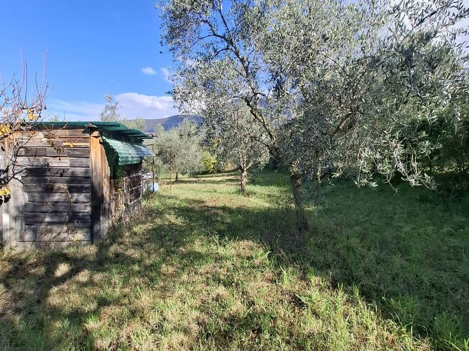Helårsgrund i Palombara Sabina, Rome - foto 1