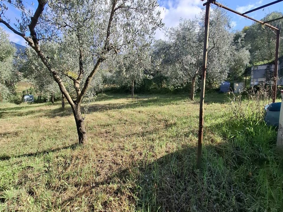 Helårsgrund i Palombara Sabina, Rome - foto 2