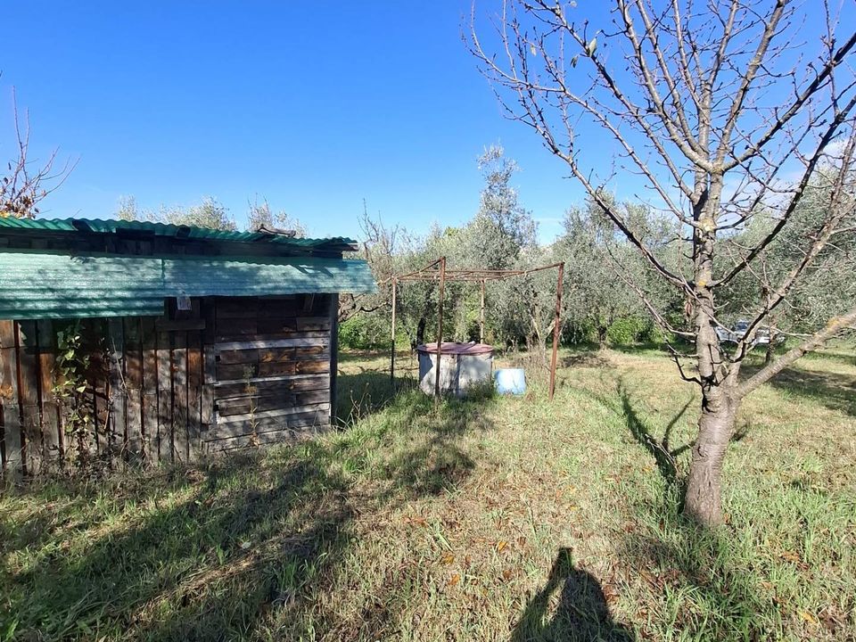 Helårsgrund i Palombara Sabina, Rome - foto 3