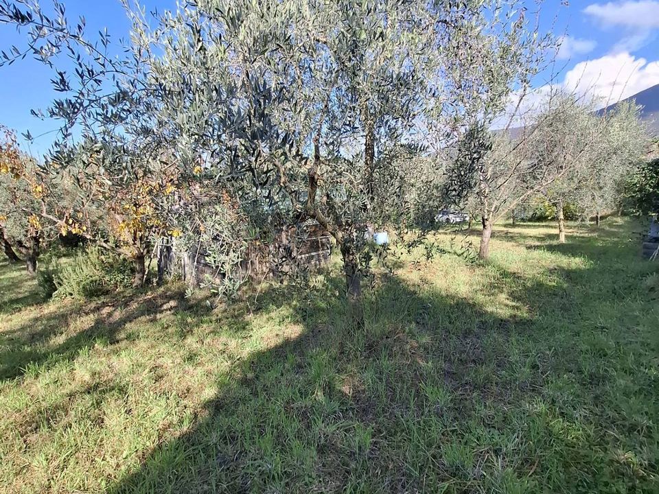 Helårsgrund i Palombara Sabina, Rome - foto 4