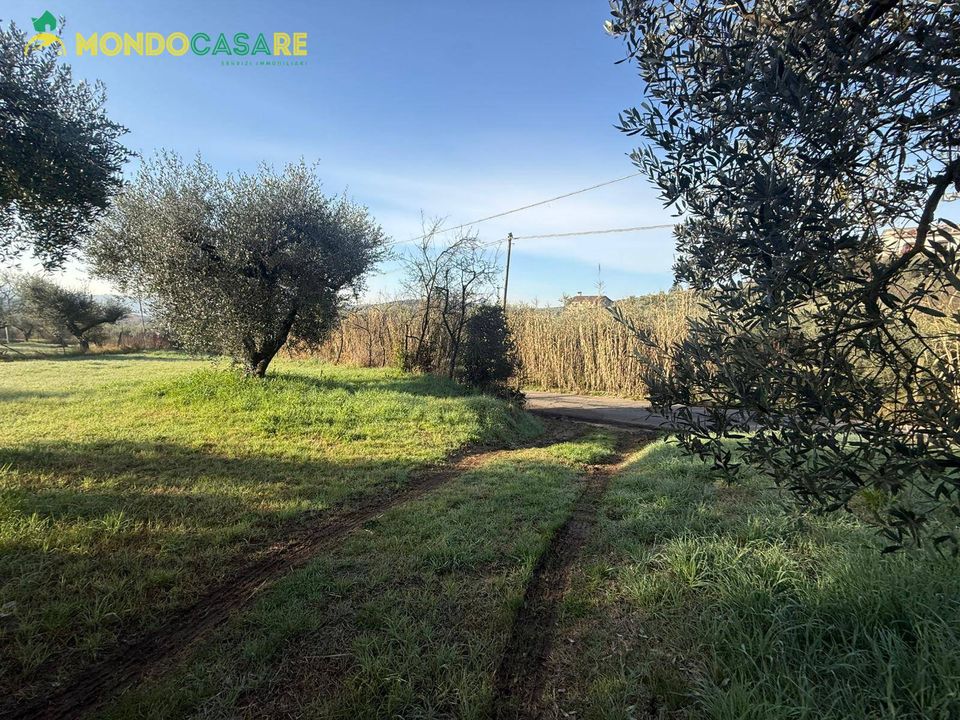 Helårsgrund i Palombara Sabina, Rome - foto 2