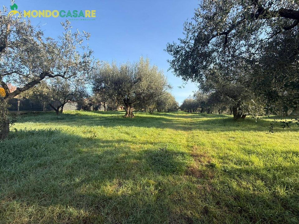 Helårsgrund i Palombara Sabina, Rome - foto 3