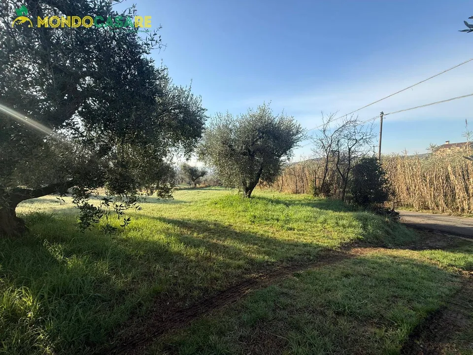 Helårsgrund i Palombara Sabina, Rome - foto 4