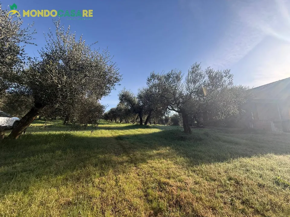 Helårsgrund i Palombara Sabina, Rome - foto 5