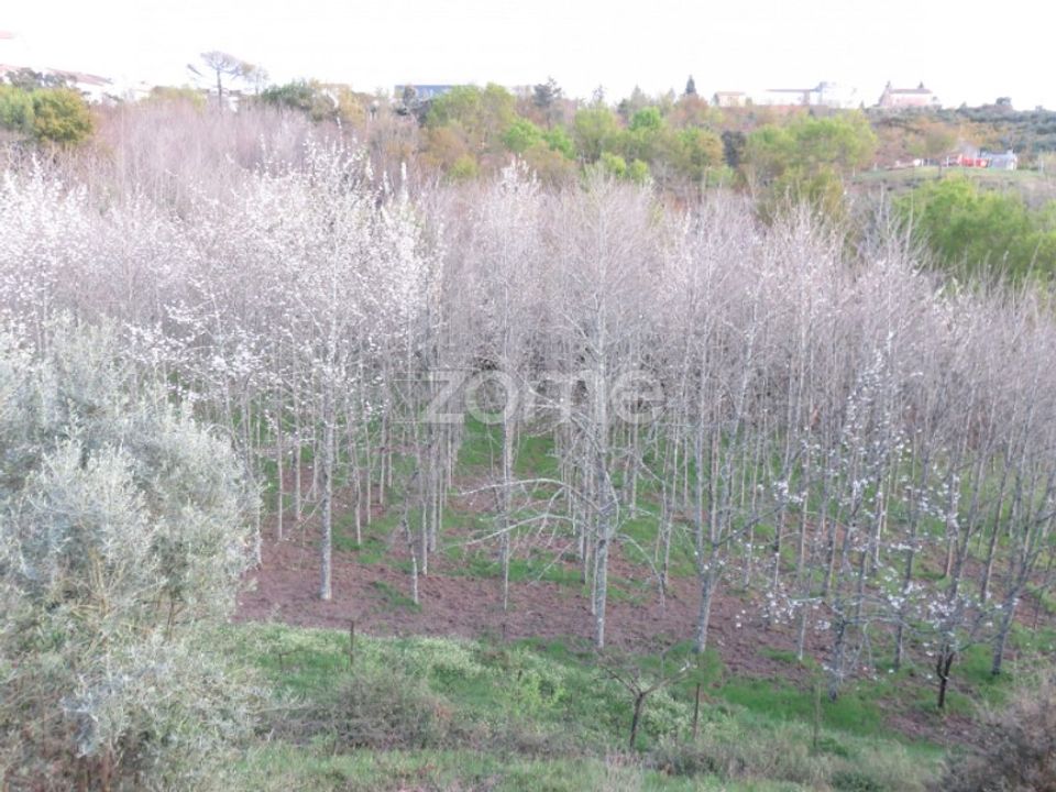 Landejendom i Oliveira do Hospital, Coimbra - foto 3