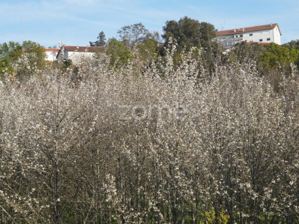 Landejendom i Oliveira do Hospital, Coimbra - foto 5