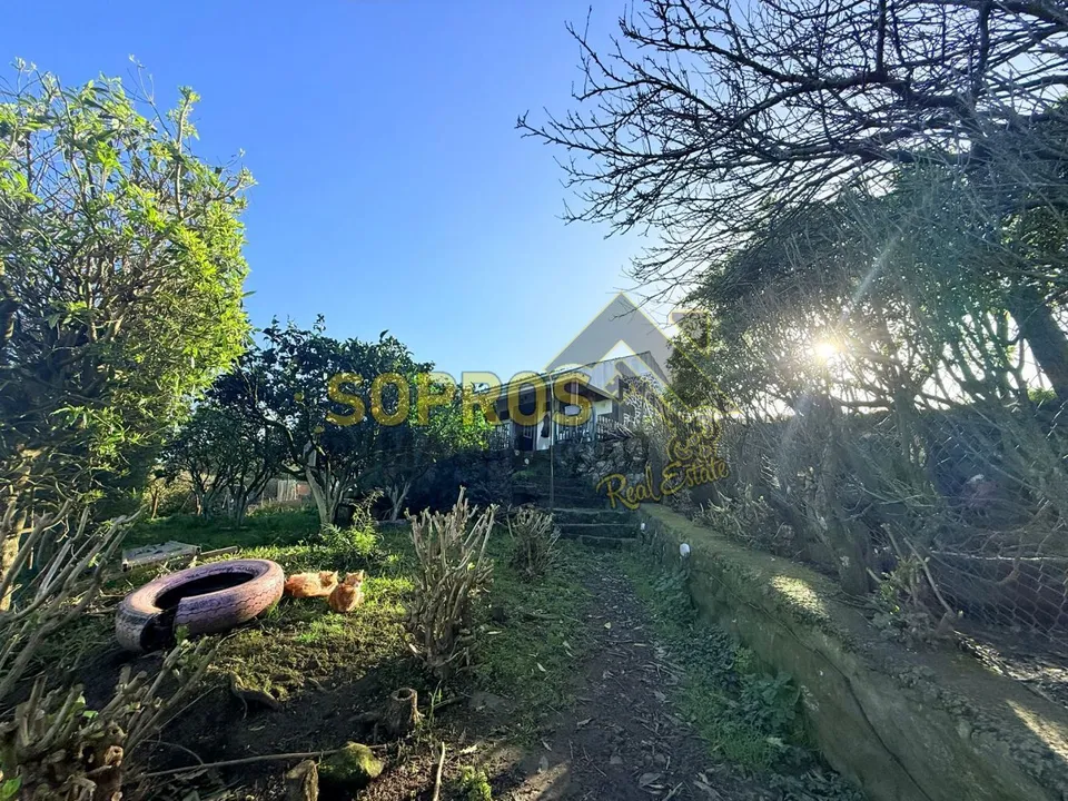 Helårsgrund i Vila da Praia da Vitoria, Terceira - foto 3