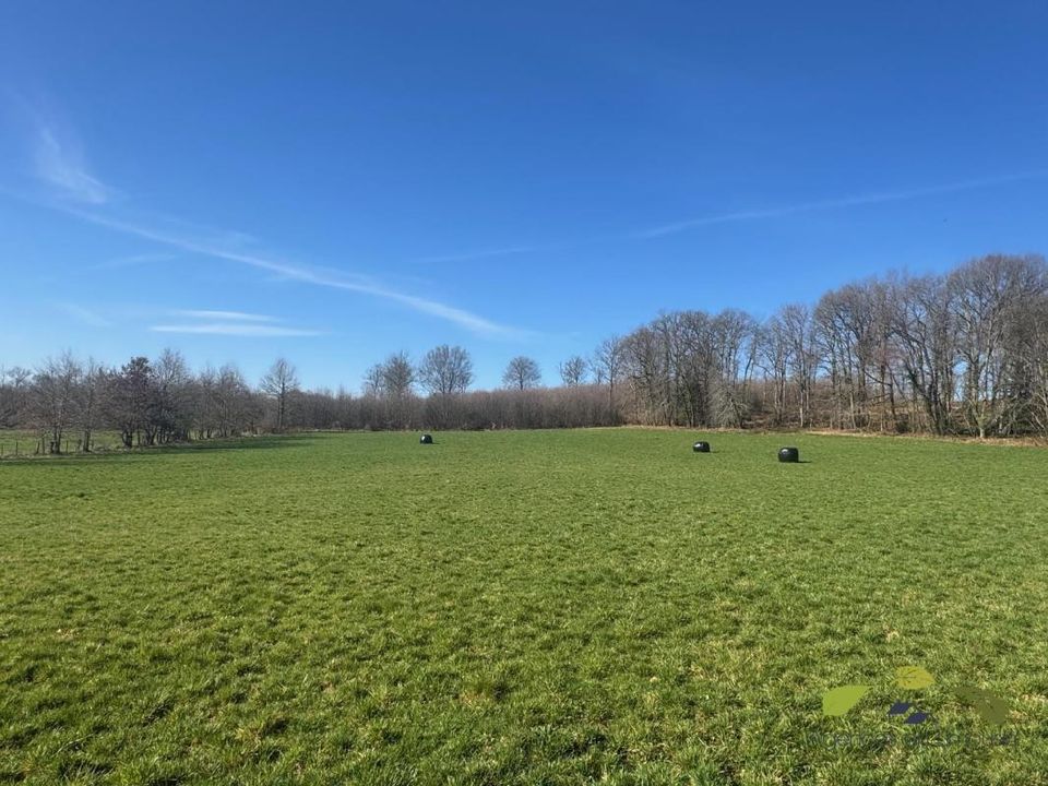 Helårsgrund i Rilhac-Treignac, Correze - foto 3