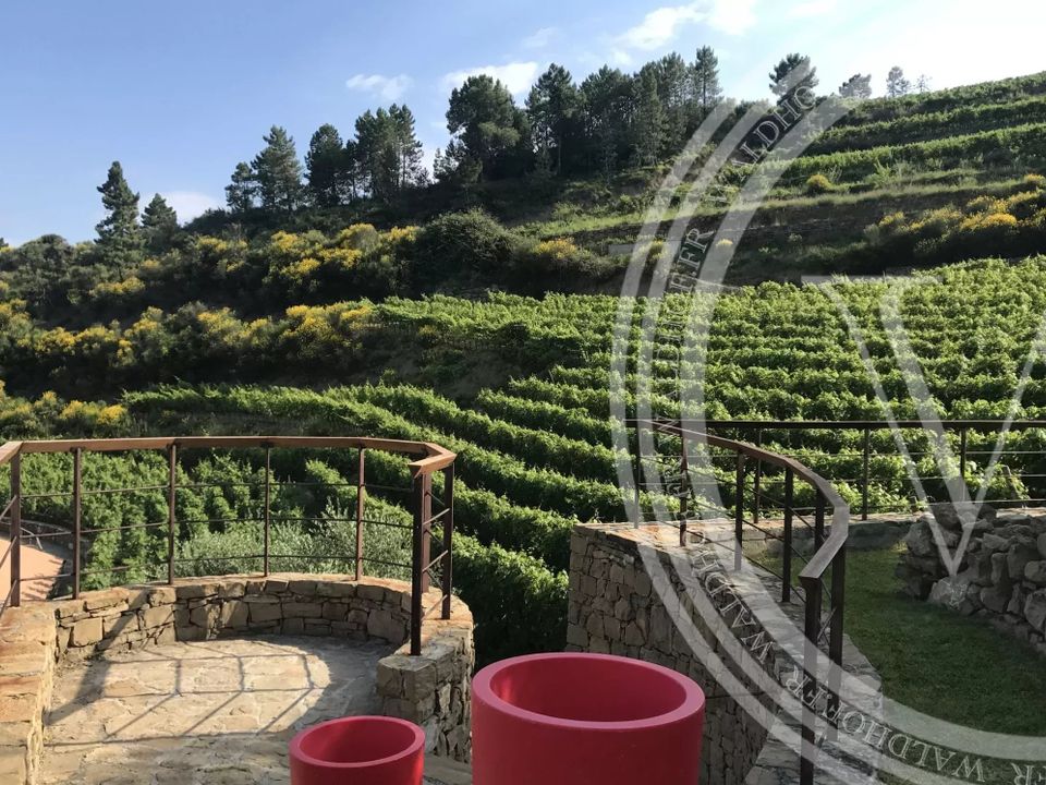 Villa i Dolceacqua, Imperia - foto 5