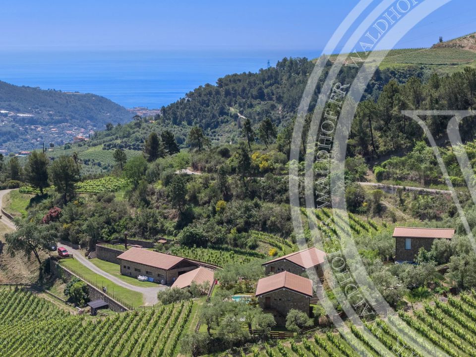Villa i Dolceacqua, Imperia - foto 2