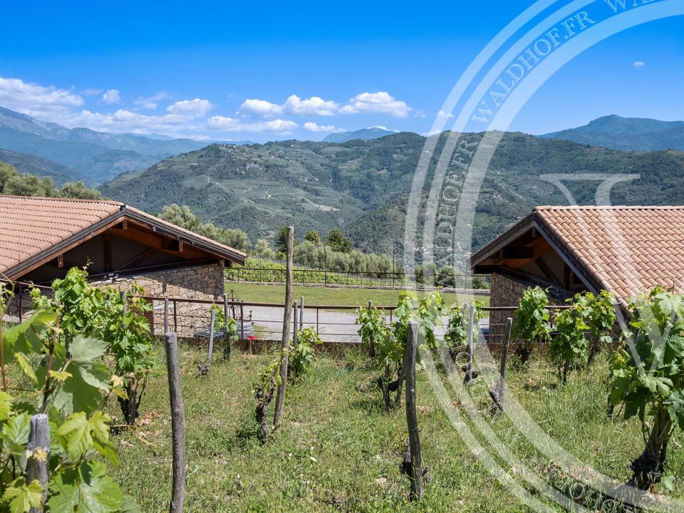 Villa i Dolceacqua, Imperia - foto 3