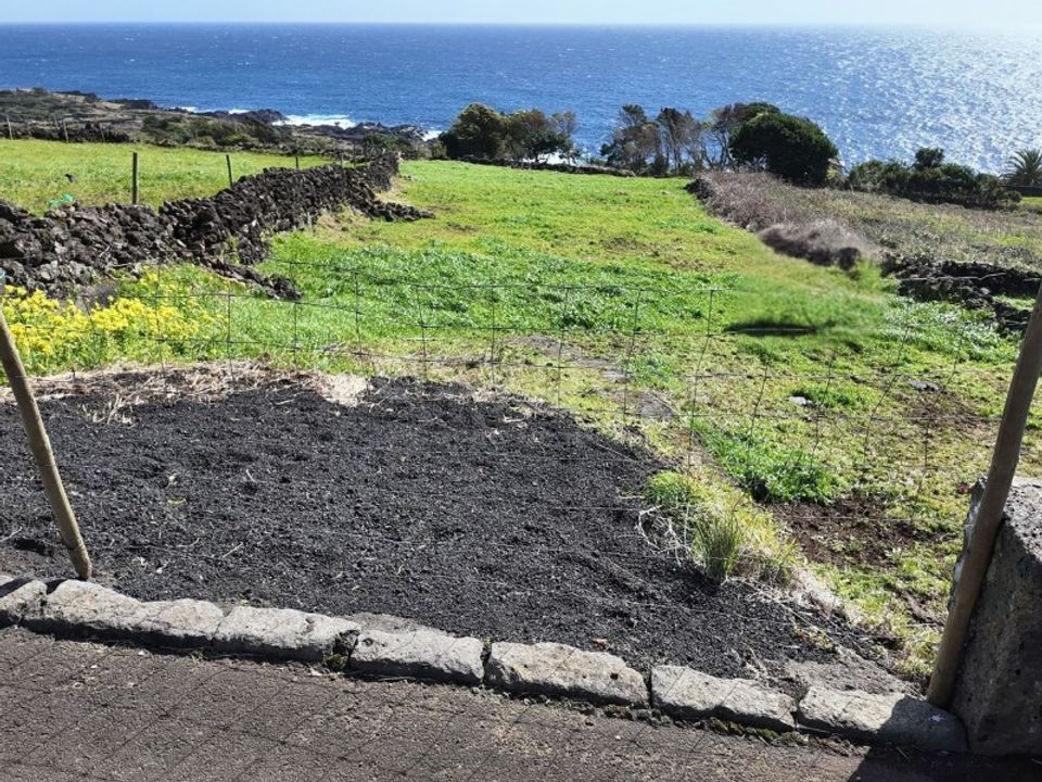 Helårsgrund i Ribeiras, Pico - foto 3