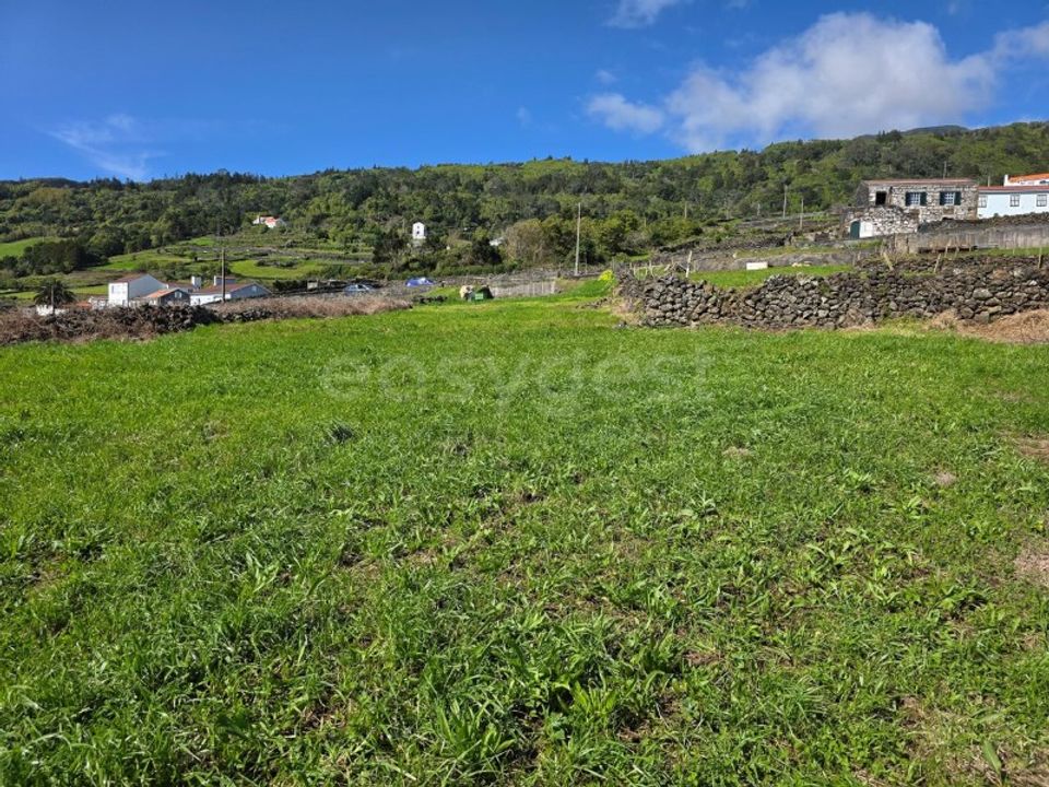 Helårsgrund i Ribeiras, Pico - foto 4