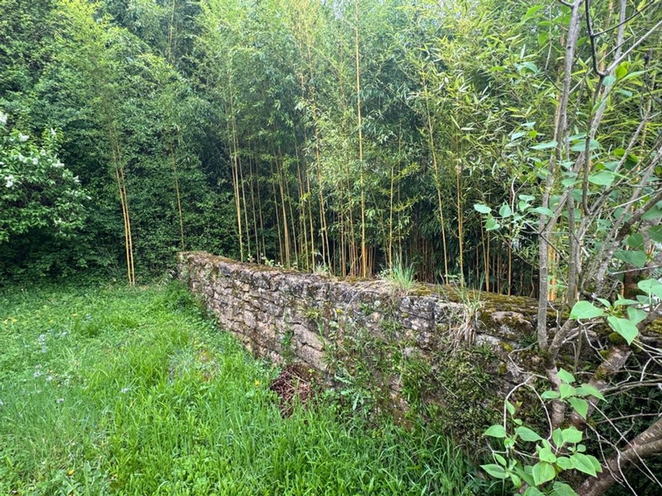Landsbyhus i Vigneul-sous-Montmédy, Meuse - foto 4