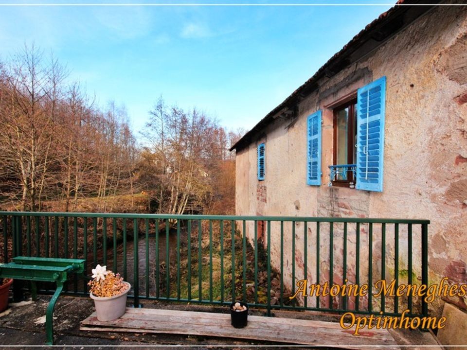 Villa i Saint-Dié-des-Vosges, Vosges - foto 1