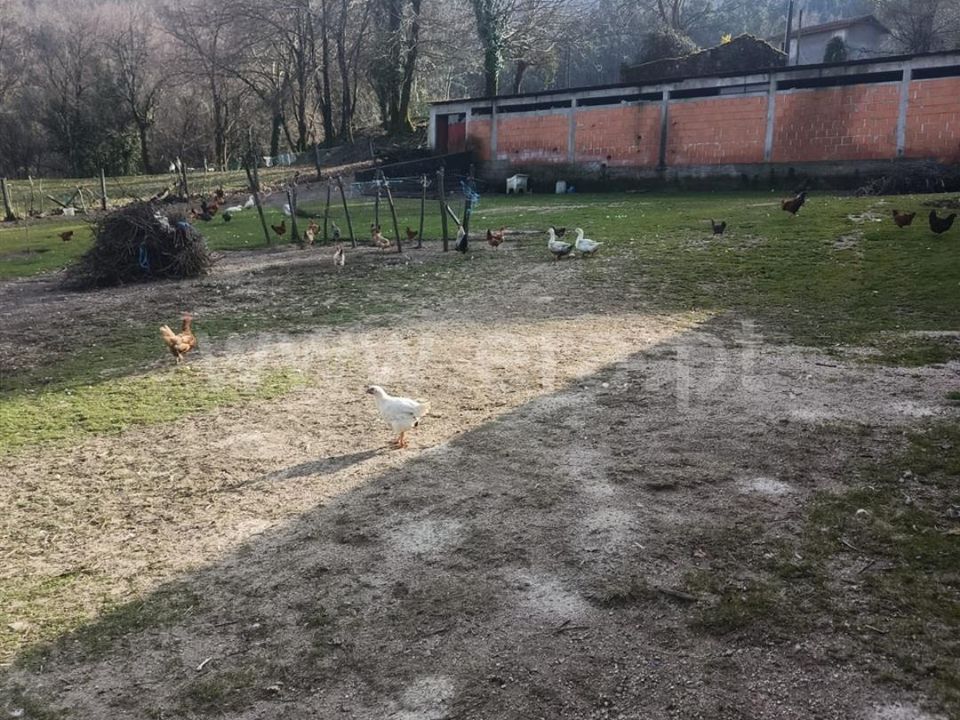 Helårsgrund i Vieira do Minho, Braga - foto 4