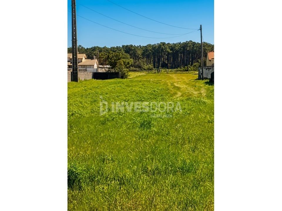 Helårsgrund i Vagos, Aveiro - foto 1