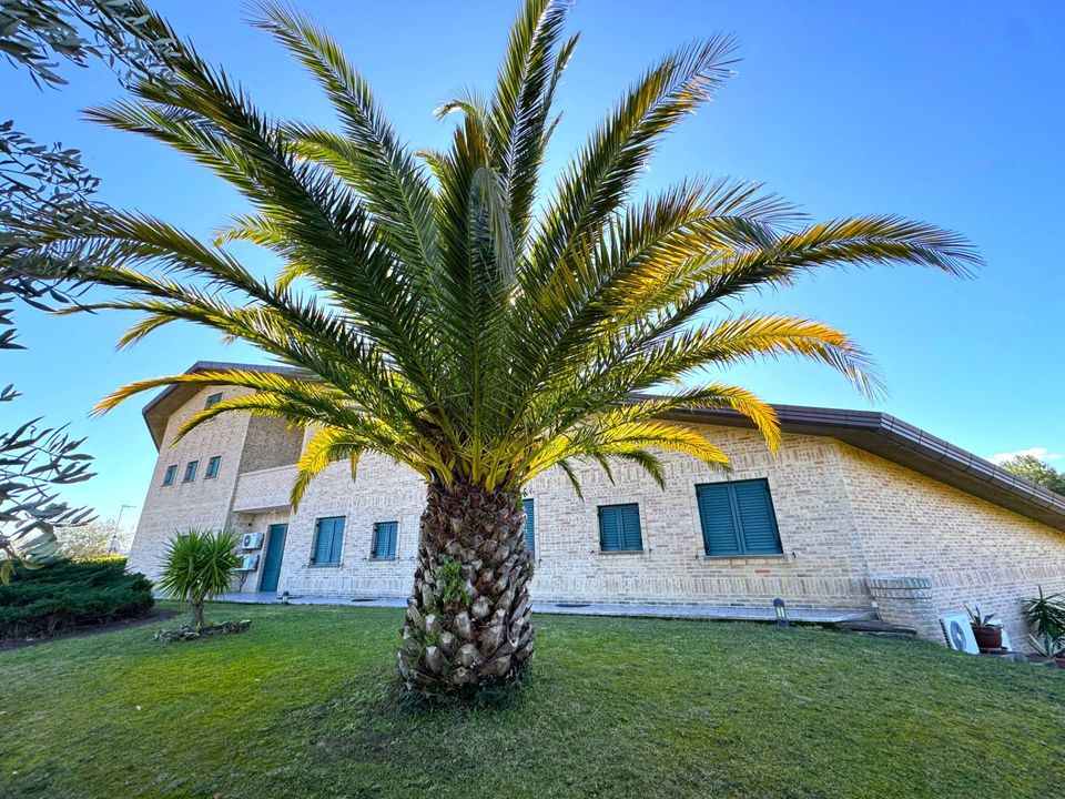 Villa i Grottazzolina, Fermo - foto 5